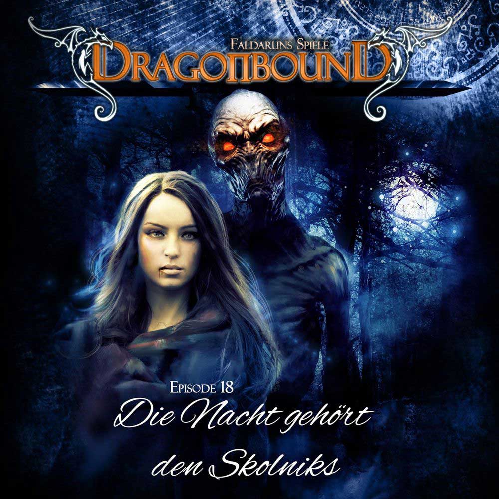 Cover Die Nacht gehört den Skolniks
