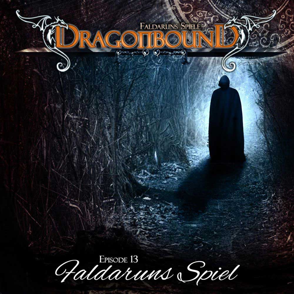 Cover Faldaruns Spiel