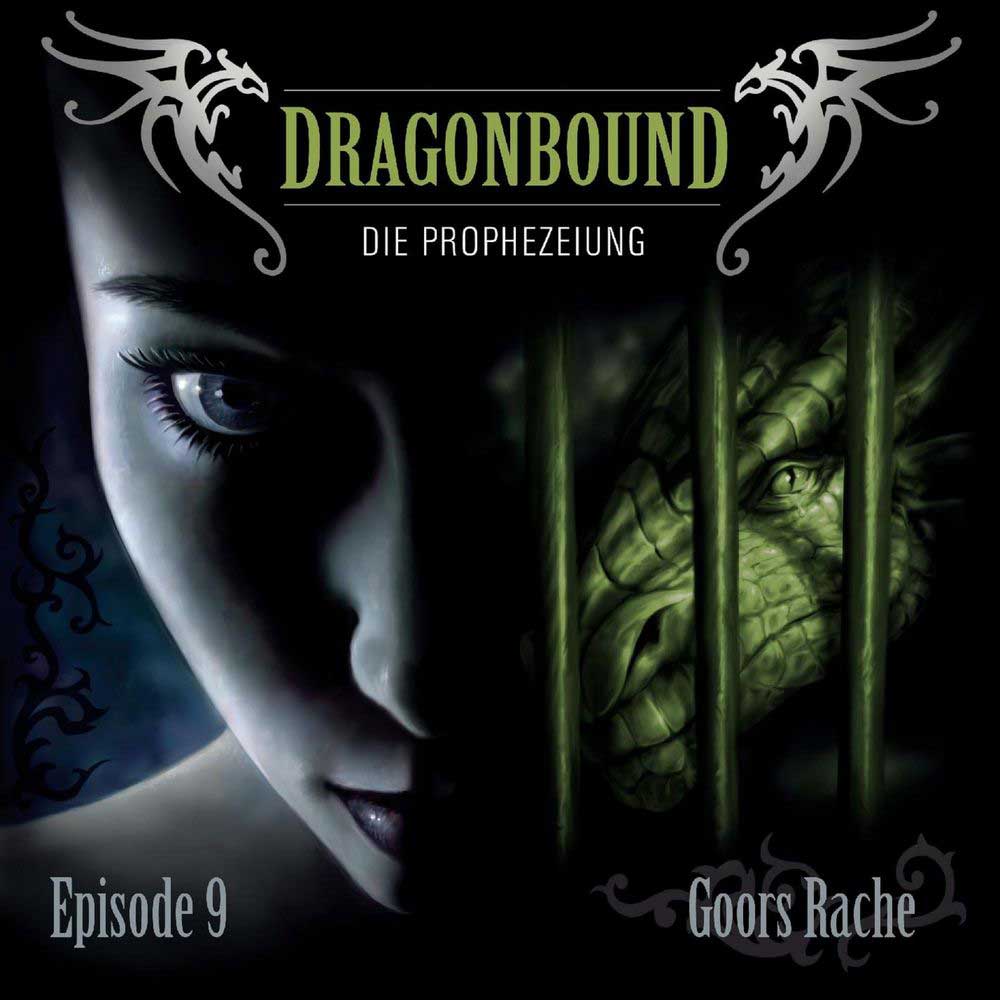Cover Goors Rache